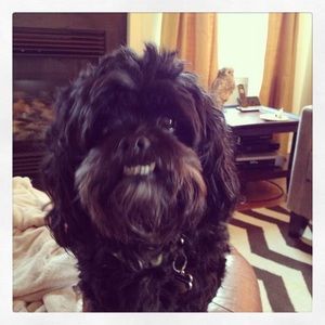 Meet your Posher, Julie